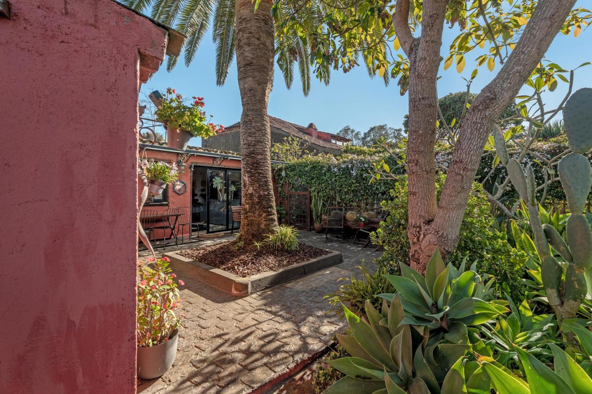 Casa Palmera - Private Paradise Tacoronte Dış mekan fotoğraf